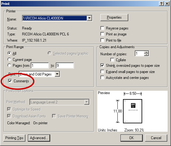 Printer dialog screenshot